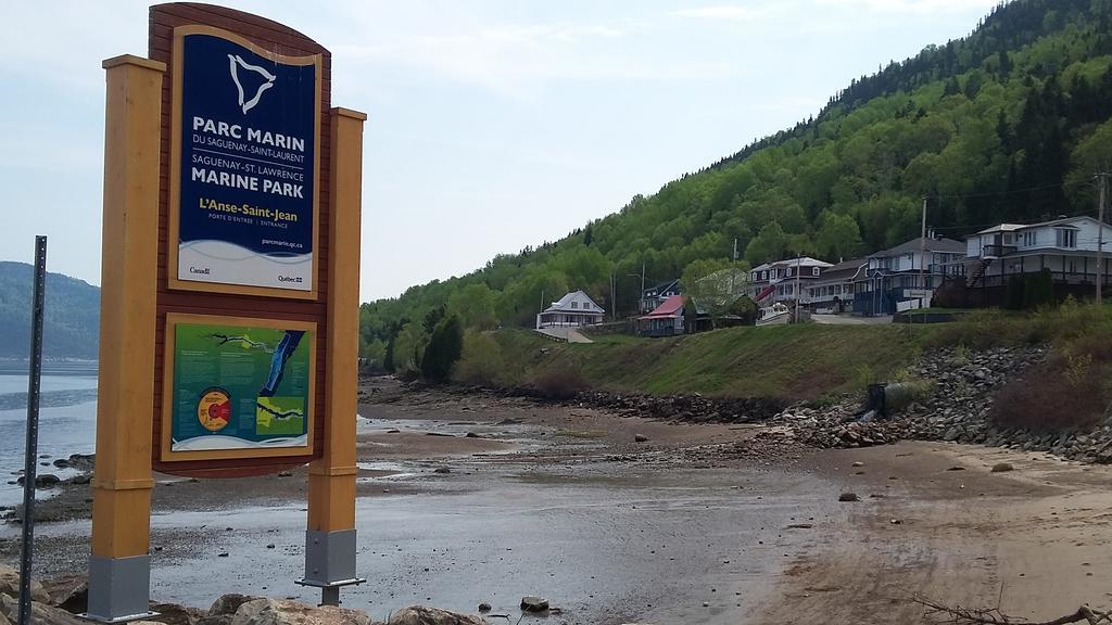 Apartement Mirador Du Fjord LʼAnse-Saint-Jean Exteriér fotografie