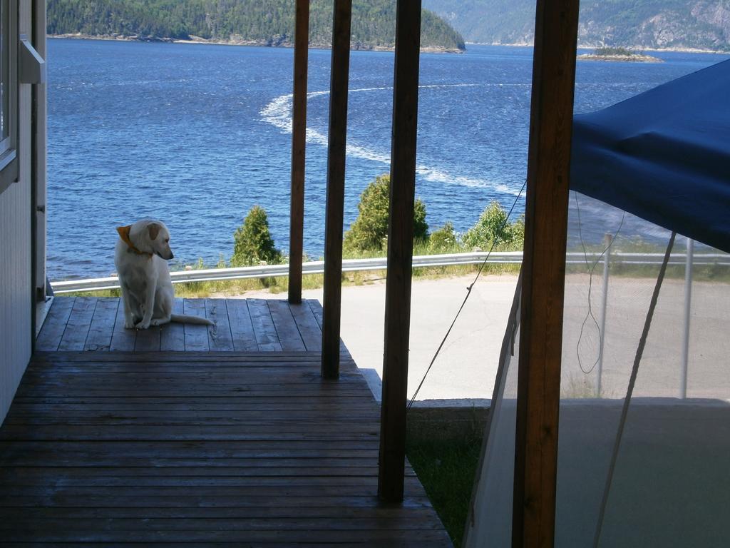 Apartement Mirador Du Fjord LʼAnse-Saint-Jean Exteriér fotografie